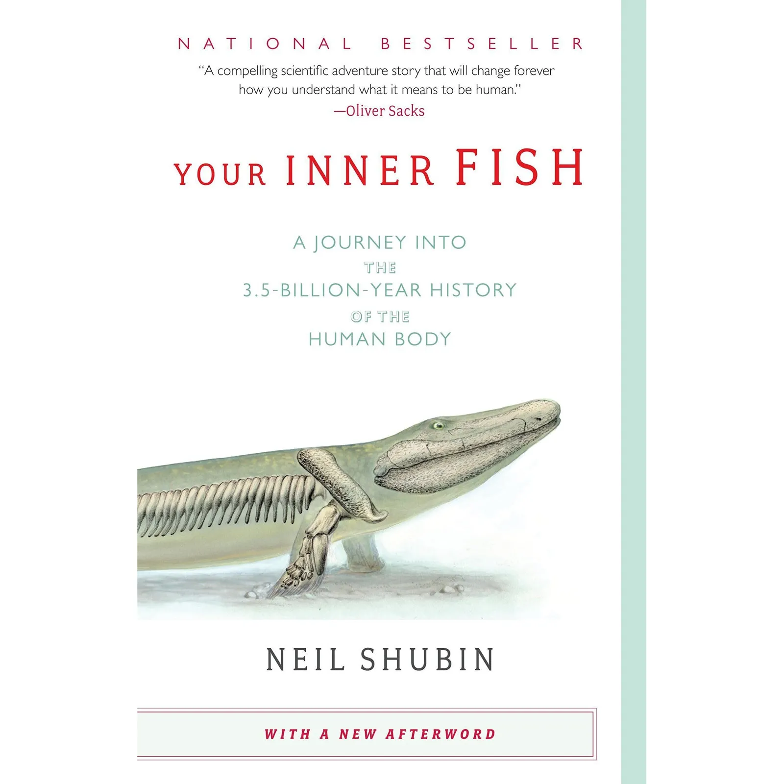 Your Inner Fish